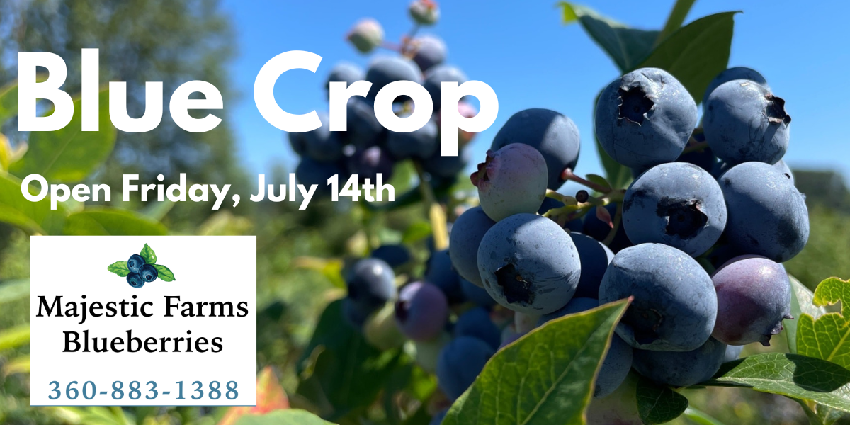 Blue Crop Now Open! Majestic Farms Blueberries